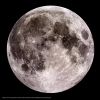 moon980312L.jpg